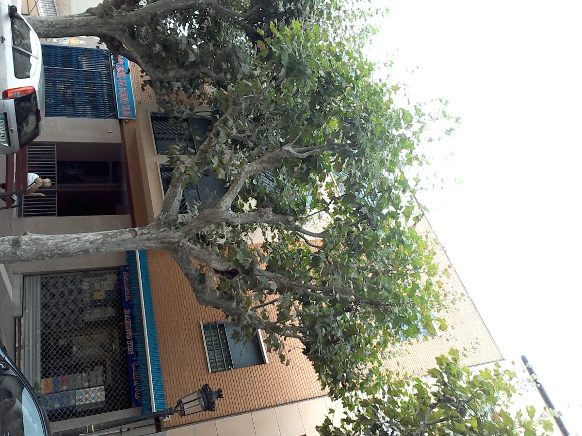 Foto de Inmueble / Vivienda en SUB-JA-2026-265156
